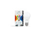 Lâmpada Bulbo Smart RGB Alexa Google Home 9W IP20 - Gaya 9821 caixa