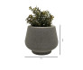 Cachepot Cinza de Acrílico com Plantinhas Artificiais
