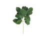 Planta Decorativa Ramo de Ficus Blume 35cm Capa - Decor Lumen