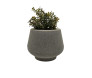 Cachepot Cinza de Acrílico com Plantinhas Artificiais