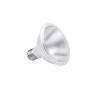 Lâmpada LED Par30 10W 2700K (Branco Quente)