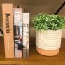Livros Ambientados - ambientada