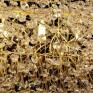 Pendente Dourado Canoa em Cristais Detalhes - DecorLumen