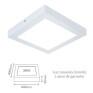 Painel LED Sobrepor Branca 18W 3000K 22cm - Evoled 4633