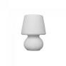 Abajur Natural Micro Lampe 