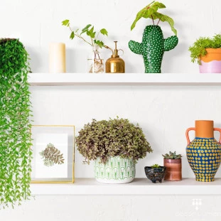 Planta Decorativa Artificial Verde 100cm-Capa Site