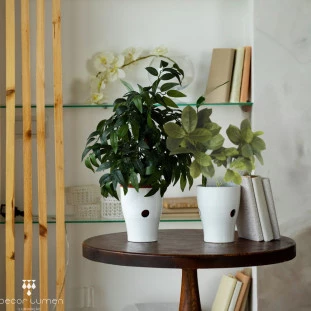 Planta Decorativa Ramo de Ficus Blume 35cm Capa - Decor Lumen