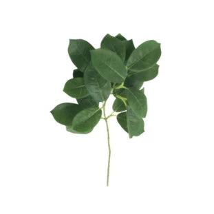 Planta Decorativa Ramo de Ficus Blume 35cm Capa - Decor Lumen