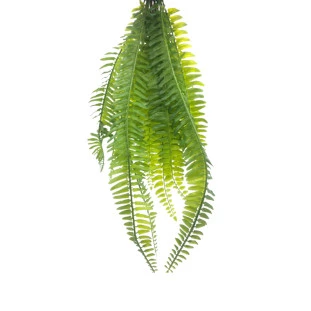 Samambaia Artificial de Silicone Capa - Decor Lumen