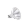 Lâmpada LED Par30 10W 2700K (Branco Quente)