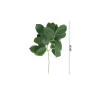 Planta Decorativa Ramo de Ficus Blume 35cm-Medidas-sDecorLumen