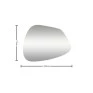 Espelho Prata Decorativo Ara Forma orgânica 77cm- Fuzimoto-Padrão medidas-Decor Lumen 