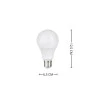 Lâmpada Bulbo A65 12W 6500K Branco Frio - Evoled LE-3210--Padrão medidas site-Decor Lumen 