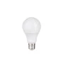 Lâmpada Bulbo A65 12W 6500K Branco Frio - Evoled LE-3210-Padrão Capa site-Decor Lumen 