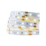 Fita LED 4,8W/m 2700K IP20 5m  Brilia - Decor Lumen 