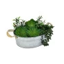 Cachepot de Metal Tira Dourada