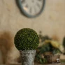Foto ambientada 2( zoom)-Planta Artificial Buxinho Jolitex