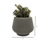 Cachepot Cinza de Acrílico com Plantinhas Artificiais