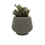 Cachepot Cinza de Acrílico com Plantinhas Artificiais