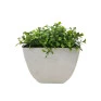 Cachepot Branco Acrílico
